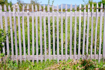 Old wooden fence