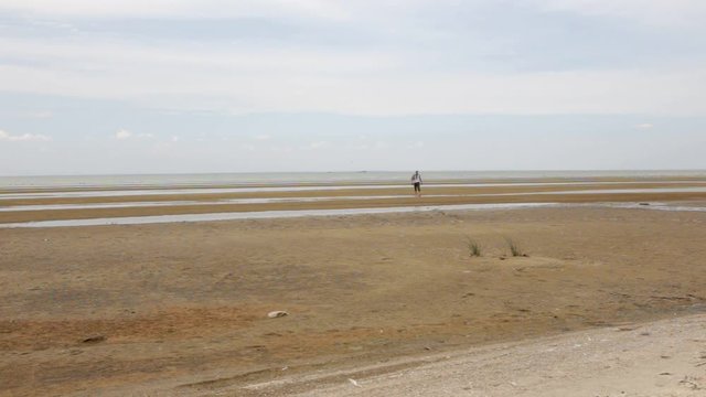 A man walks along the coast of the sea. There is no water, drought. Wind hot weather. Climate change, the draining of the seas. Ecological problems.