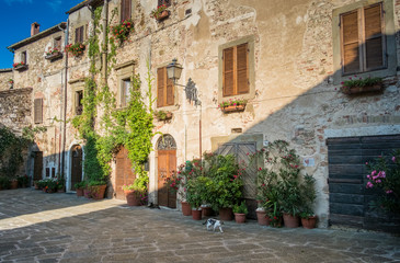 Houses and cats at sunset in Montemerano, Tuscany - 118060700