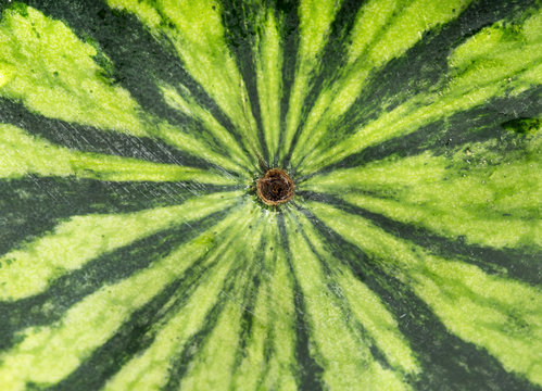 Background of skin watermelon