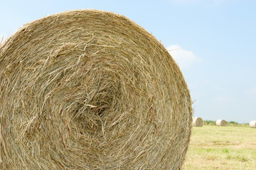 stubble field with hay bales
