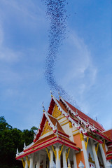 Hundred Million Bats at Wat Khao Chong Pran, Ratchaburi Thailand