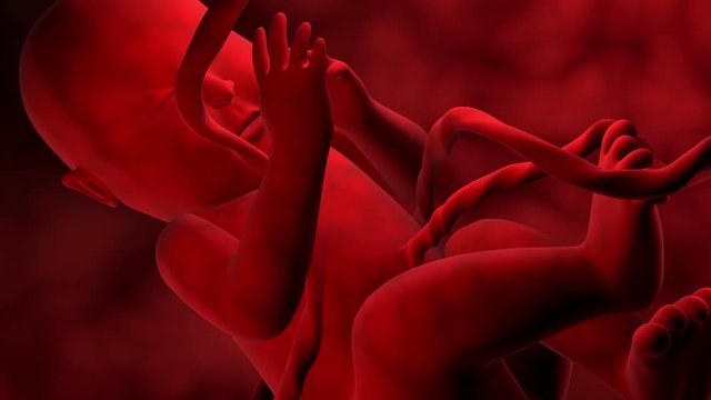 Visualization of fetus movement in womb.