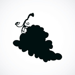 Bunch of grapes. Vector drawing