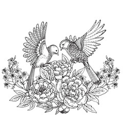 Fototapeta premium Vector illustration of two hand drawn graphic birds and peony fl