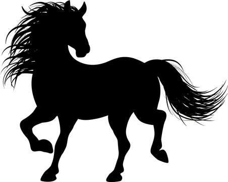 Horse Silhouette Photos Royalty Free Images Graphics Vectors Videos Adobe Stock