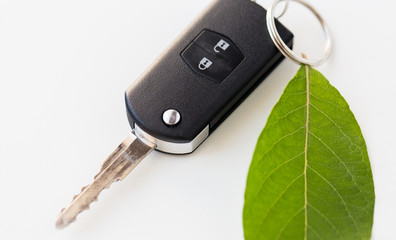 close up of car key and green leaf