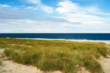 Landscape with sand dunes at Cape Cod