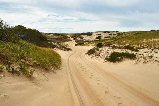 Road In Sand Dunes At Cape Cod