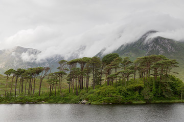 view to island in lake or river at ireland