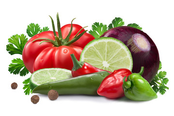 Ingredients for salsa roja sauce, clipping paths