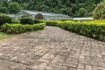 Concrete Pathway in garden