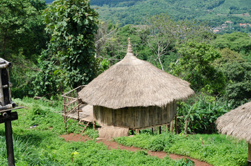 Traditional cottage in the village of Akha tribe atop the mounta