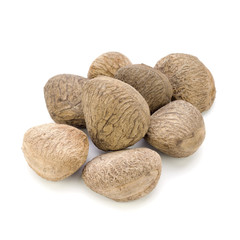 Buah Keluak, Pangium edule; not sharpened file