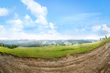 Summer forest on mountain slopes