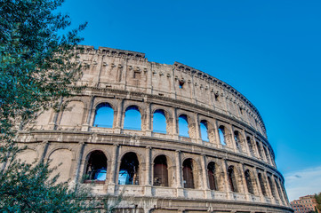 Fototapeta premium The Colosseum, or the Coliseum in Rome, Italy
