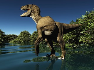 Fototapeta premium Velociraptor the dinosaur 3d rendering