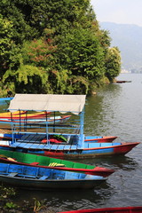 Fototapeta premium Rowboats at the Phewa lake
