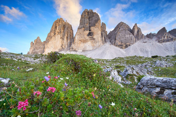 Wiese mit Blumen in den Dolomiten, drei Zinnen