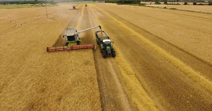 Aerial view flying over the top of a combine harvester and tractor and trailer as it empties the corn in a field on a summers day