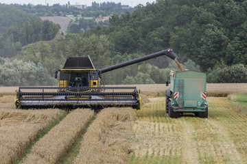 Fototapeta premium harvest - harvesters and tractors