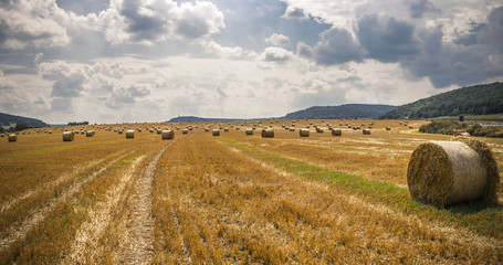 Fototapeta premium harvest time - straw bales in a field