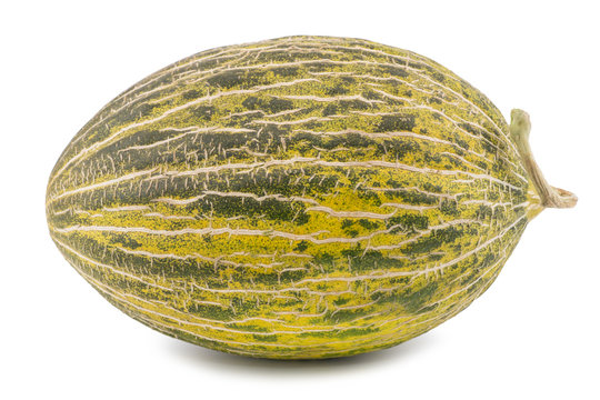 One Fresh whole Piel de sapo melon on white background.