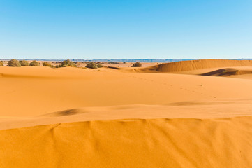 Fototapeta na wymiar Dunes of Erg Chebbi at Morocco