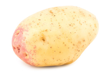 New potato isolated on white background close up.