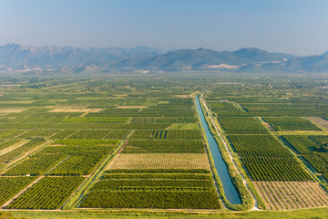 Aerial view on the green plantations of fruit and vegetables with irrigation canals