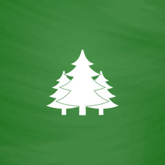 Tree, Christmas fir tree