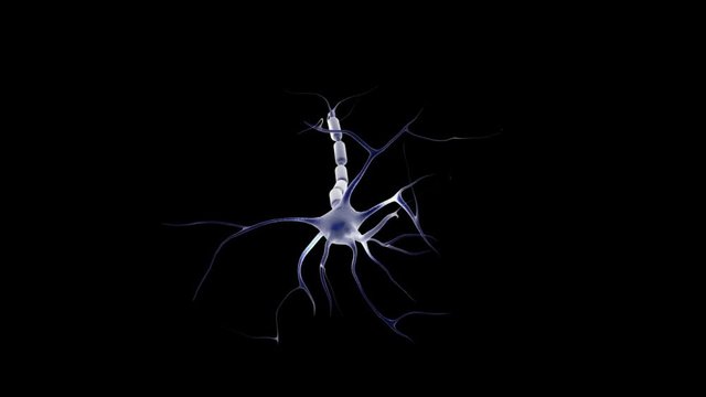 Neuron pulse.