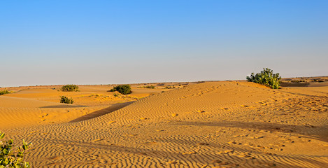 Landscape of Indian Thar Desert with copy space