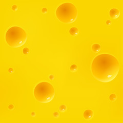 Cheese vector background