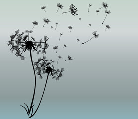abstract card with dandelions vector background - 118074924