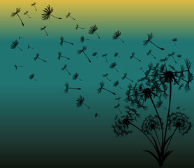 abstract card with dandelions vector background