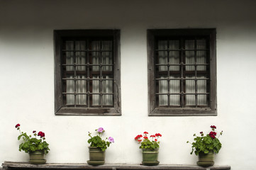 Fototapeta na wymiar Wooden windows of old village house wall with pots of flowers at front