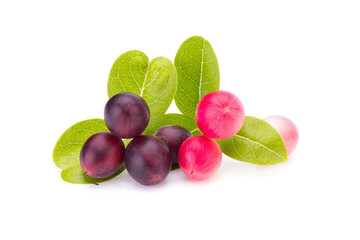 Carunda or Karonda on white background