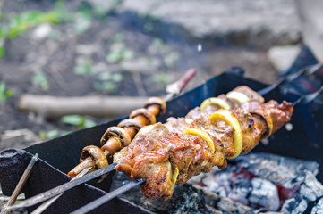 Marinated shashlik preparing on a barbecue grill over charcoal. Roast kebabs on BBQ Grill. Selective focus