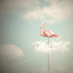Obraz premium Flamingo with long legs on a cloudy sky background