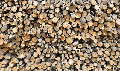 Деревянные текстуры из досок и веток