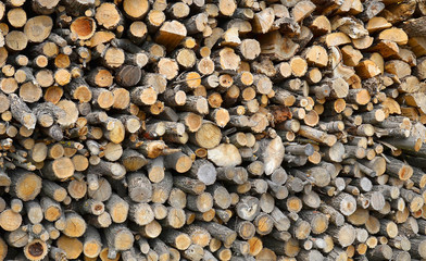 Деревянные текстуры из досок и веток