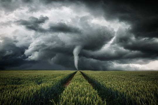 Tornado wütet über eine Landschaft - Unwetter über Getreidefeld © ohenze
