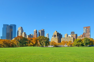 Fototapeta premium Central Park Autumn