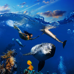 sealife underwater scene beautiful mermaid wearing golden tail swimming and playing with funny dolphins © willyam