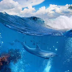 Photo sur Plexiglas Dauphin A dolphin swimming underwater and above him there is a tropical cloudscape