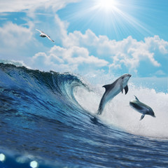 Two happy playful dolphins leaping from ocean breaking surfing wave to foam in front of cloudy seascape