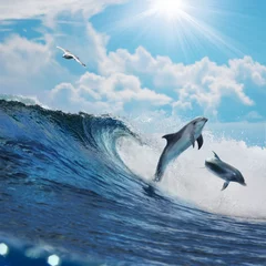 Wallpaper murals Dolphin Two happy playful dolphins leaping from ocean breaking surfing wave to foam in front of cloudy seascape