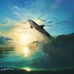 Rolgordijnen Ocean-view design postcard. Beautiful colorful breaking surfing ocean wave rushing at sunset time © willyam
