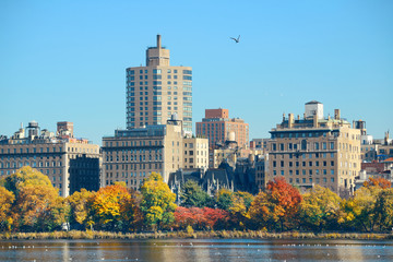 Fototapeta na wymiar Central Park Autumn